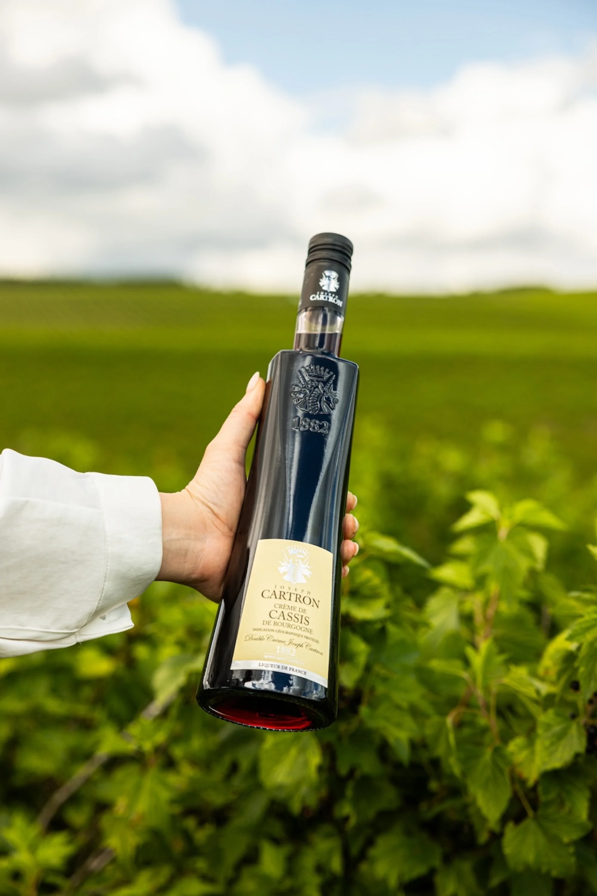 What is Crème de Cassis? | Alcohol Professor